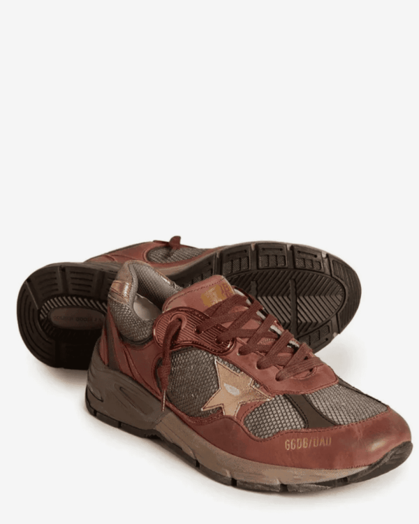 Zapatillas Dad-Star Golden Goose marrones con paneles de malla y piel y estrella lateral